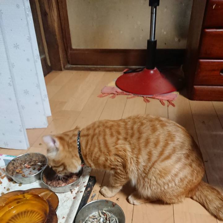 5671c5f6 eb1f 46dd b851 bae40e2b78fa 1646081883614