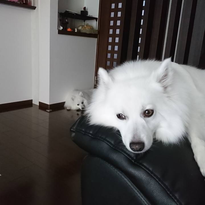 5671e6e1 ebf0 4ae2 af6b 2c016cea3c36 1590649297044