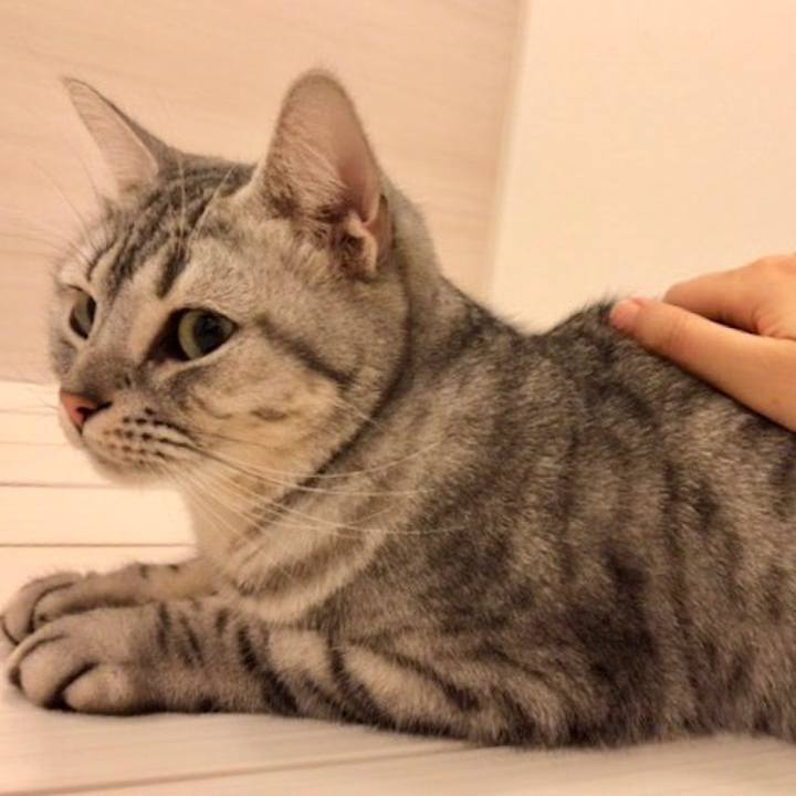 5671fae6 2015 460a 9eb7 f67fa04d2dce 1544697438601