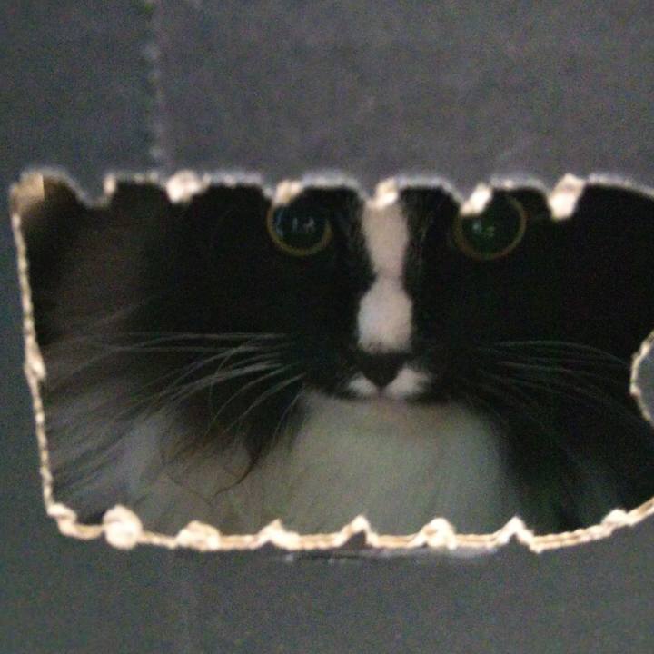 56723759 5c2b 4dea 9355 247a49c7f1c0 1660603500108