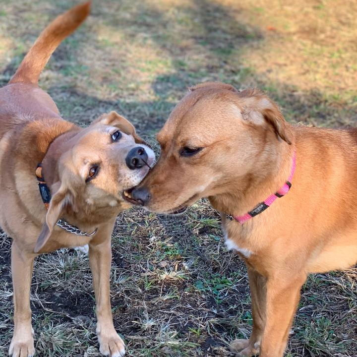 567238a1 8380 4fef ac3d 1e8043e4f3a7 1573554225912