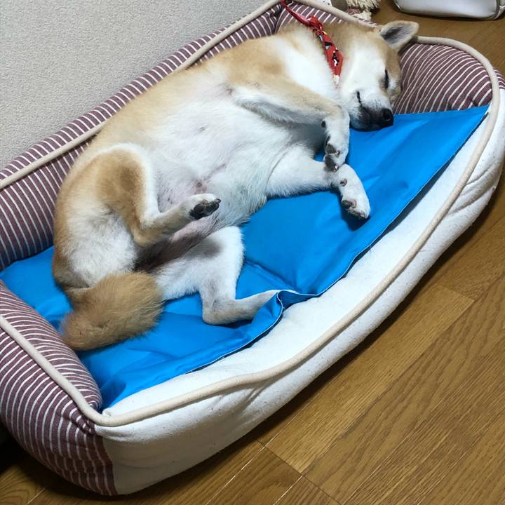 567255a9 0a0c 440d ac80 353826f781ee 1600648492247