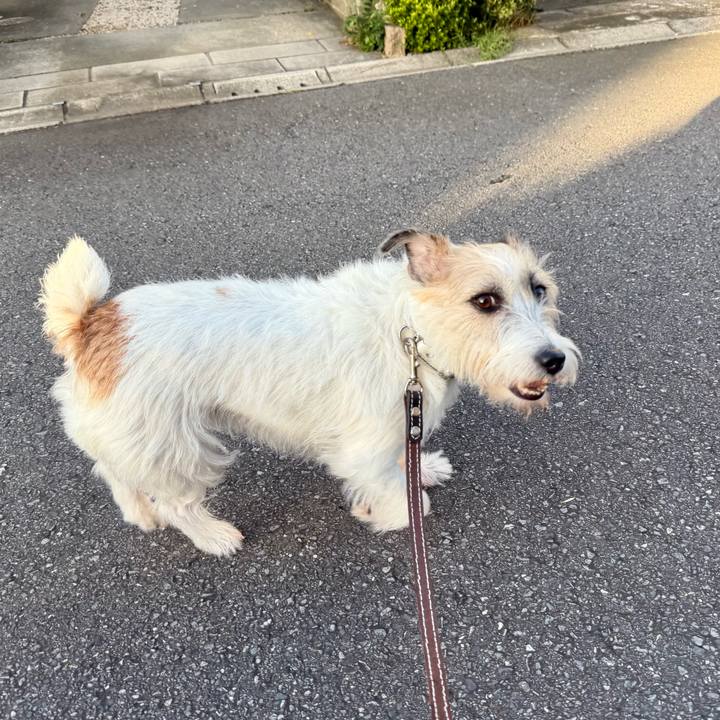 56725cd1 44e4 4866 9f31 aa7be73f19f5 1759955025976