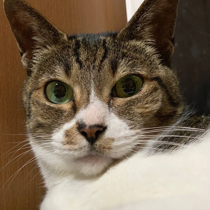 567274f9 4e0a 4fa9 a2a1 71f9dd18b966 1560042679444