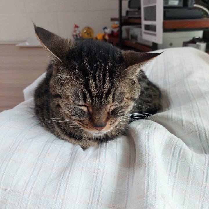 56728586 ea23 4cef bb63 f2a1a49da69b 1624142549743