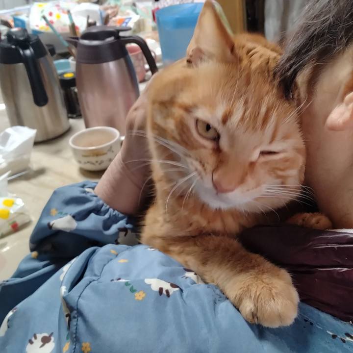 5672ca93 31f0 4e39 af33 4a3528a64c9a 1710904430384