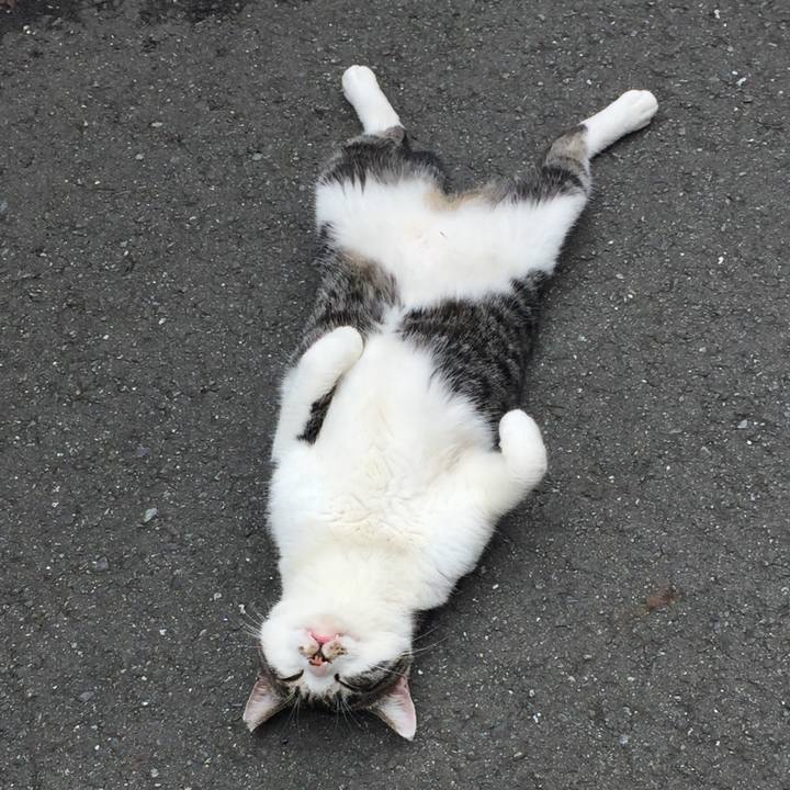 5672dcb9 6afb 48b4 a0d6 13b65b2f95ec 1608782805823