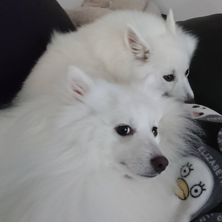 5672f970 625d 4718 8056 0e7a4321e64b 1601005478725