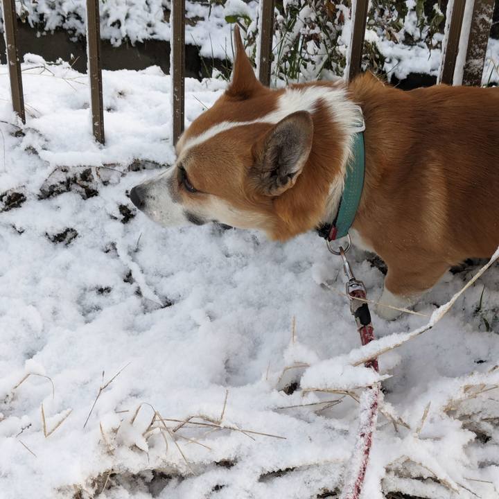 56731361 644f 4383 8e81 19470cc2f0e0 1706235797217