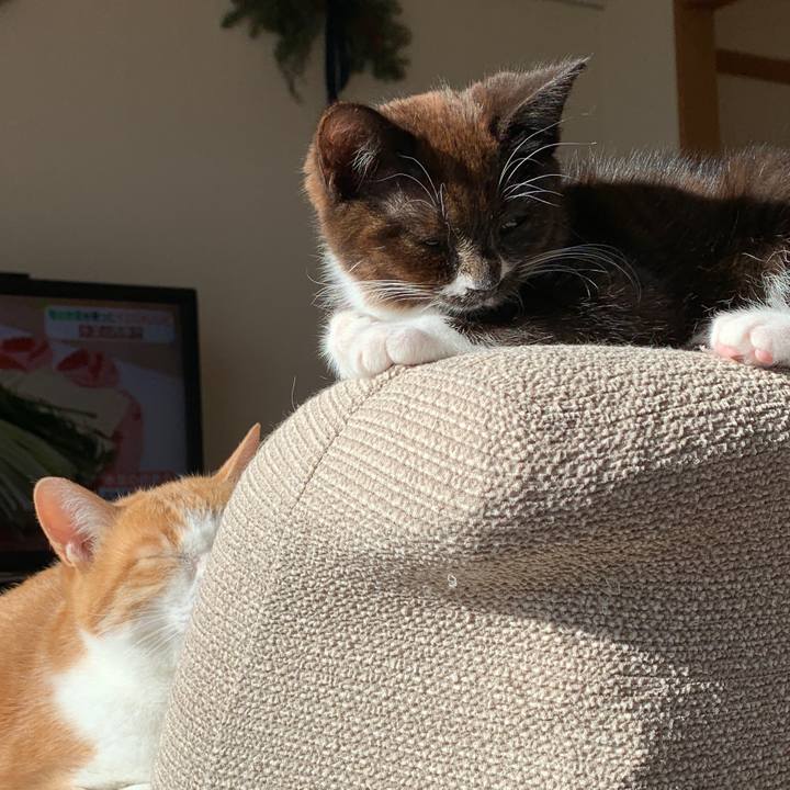 56731967 d888 49d4 9942 32c527d611b4 1578562261893