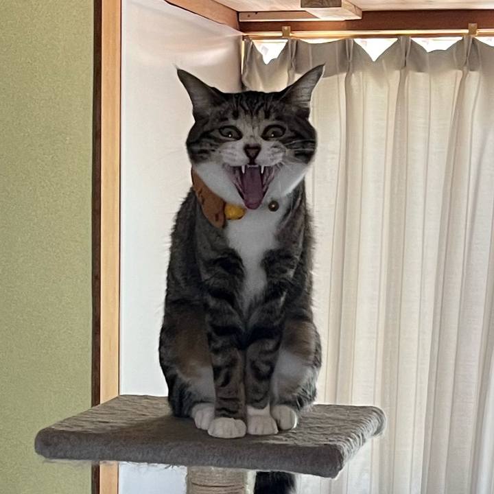 56736a09 01b5 4284 8362 598fb552a193 1722934383314