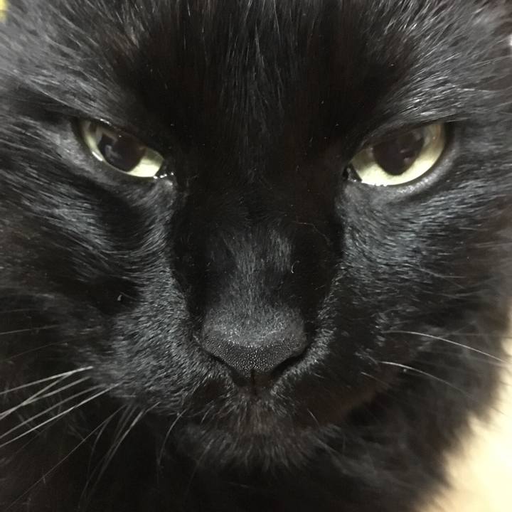 56736bc2 99ec 4d30 9e9f 59bf5b396a0a 1529425206383