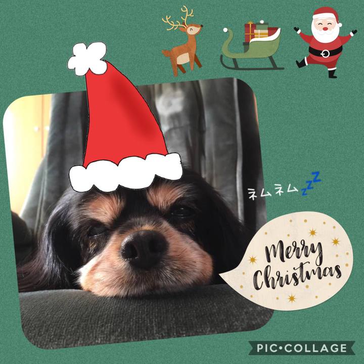 5673a5e6 1673 4635 a0b6 01f11faf31c5 1545543766391