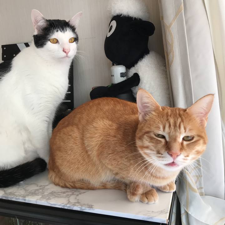 567424ec aa87 464a 90b6 2fb12feb5b5a 1518069050498