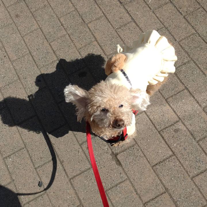 56745329 82ee 4d78 b826 fc1dea253a91 1677927595299