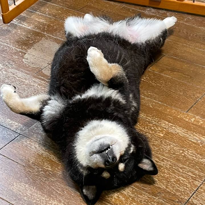 5674a122 1f66 4368 9dcf 8cf7a9bb3c02 1682772488150