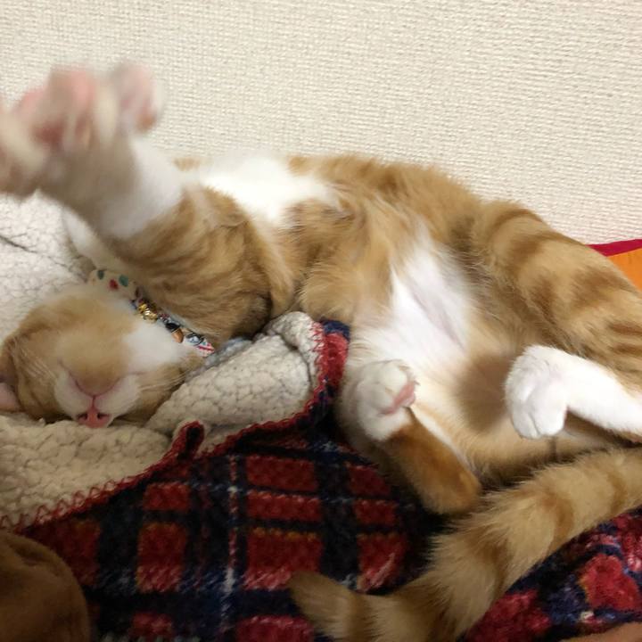 5674b4c6 b10f 44de 9f93 ff975f3d4fa1 1571226785829