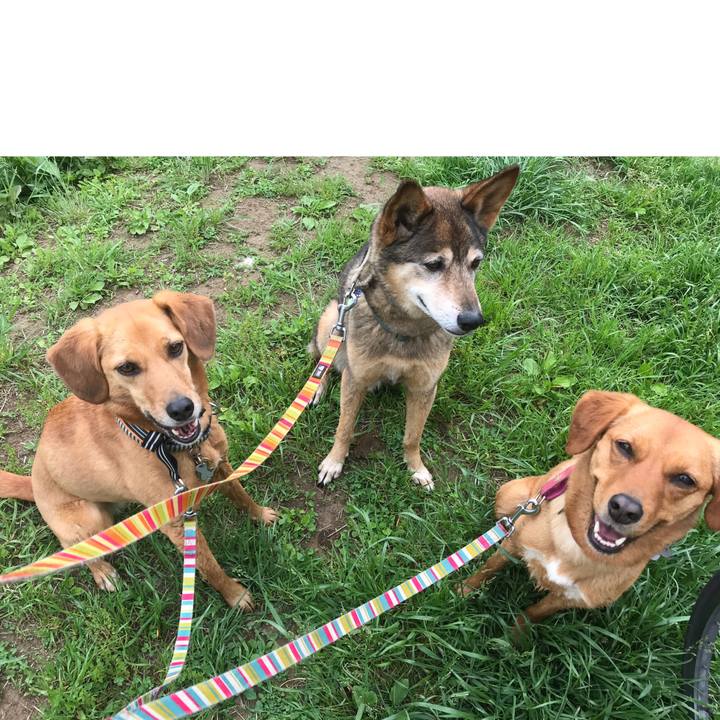 5674c3a4 47e5 40d9 8b1c 8d5539bd254e 1525656165423