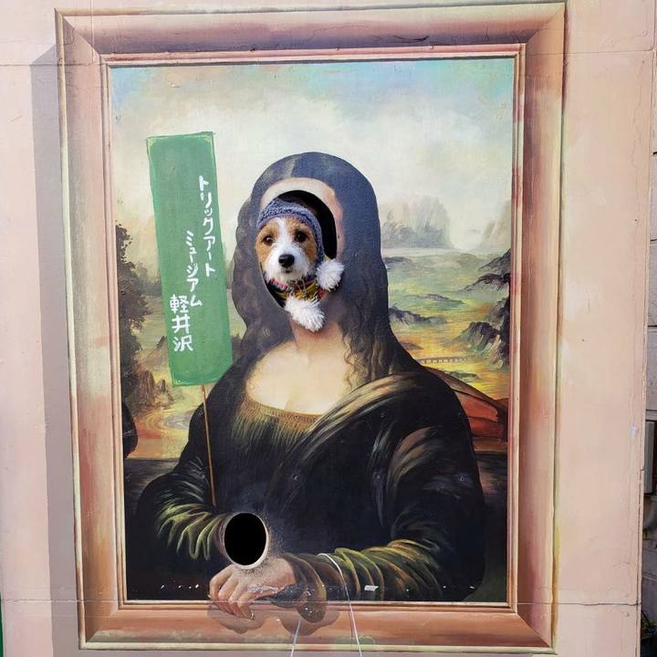 5674c816 419d 4d91 9113 a1036d1c6c53 1573283032319