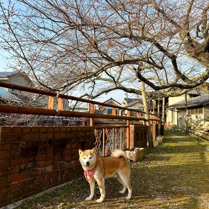 5674ec77 bc93 4743 84a0 71d6d208c460 1710844811378