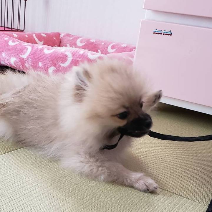 56750e6c 1fe6 4465 a9d9 8949fa927e09 1612842656637