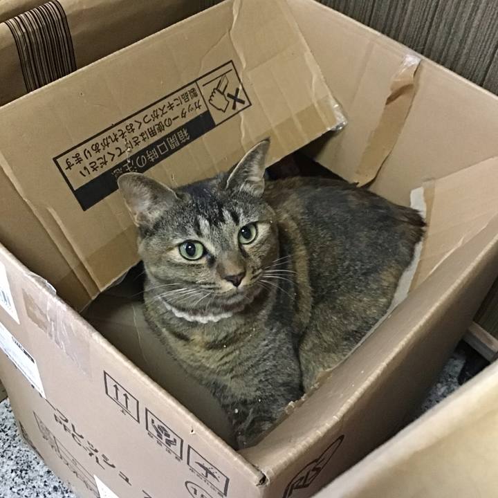 567517ed 1f34 468d 9926 97b24366b07d 1660995800048