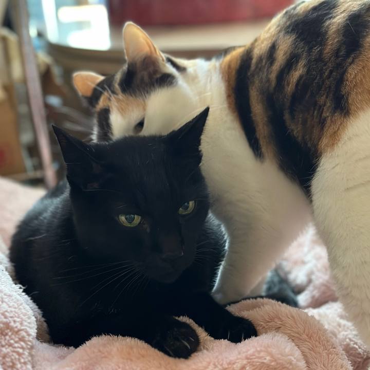 56752998 2735 43fe 97e3 3f54449ebeb6 1668392233297