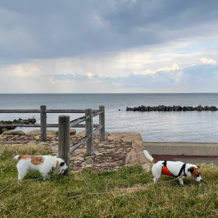 567534a2 a814 4a2a 962c 477ed9659236 1698362262347