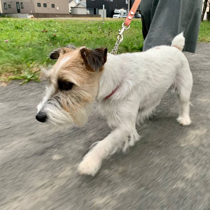 56753dca f35f 4b25 a23c e81467f81fd4 1663415258051