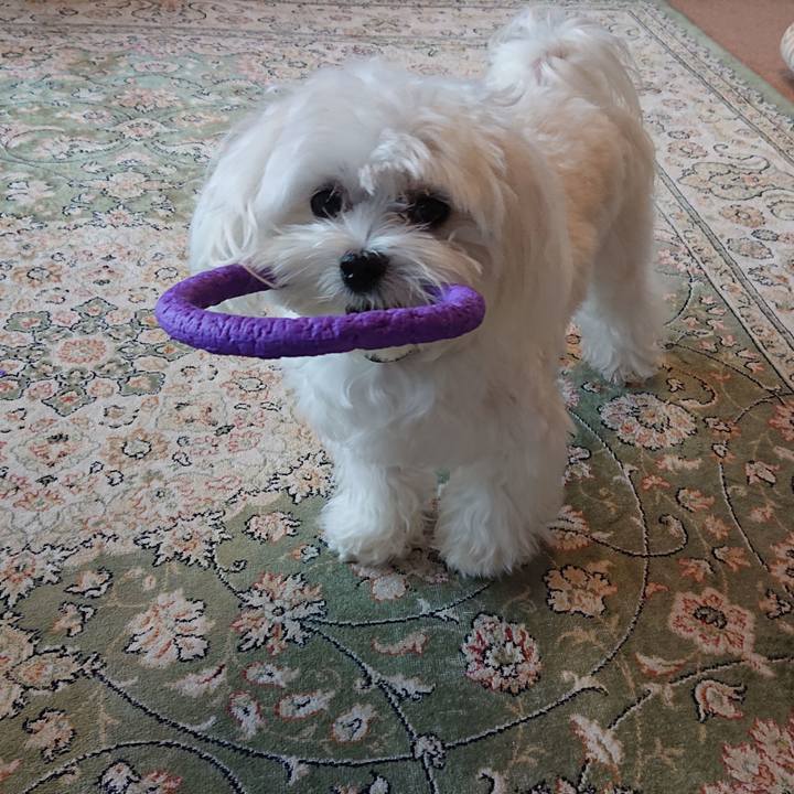 5675a0b5 1f6f 4a3d 81ec 4c0adef08d2b 1589882871026