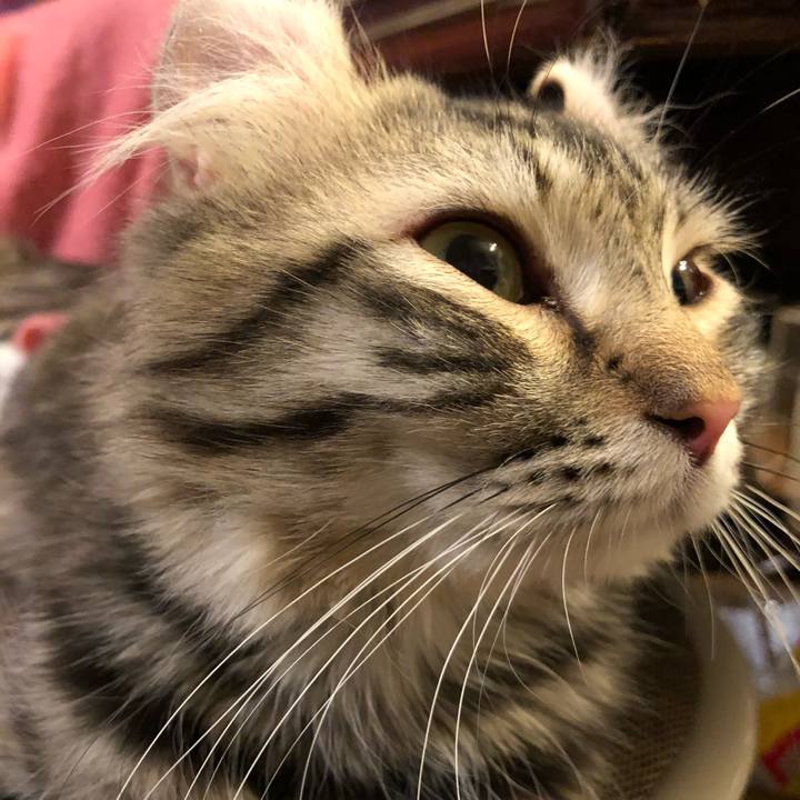 5675aa09 28e2 4254 8f75 d7513e2aa3ab 1514207125407