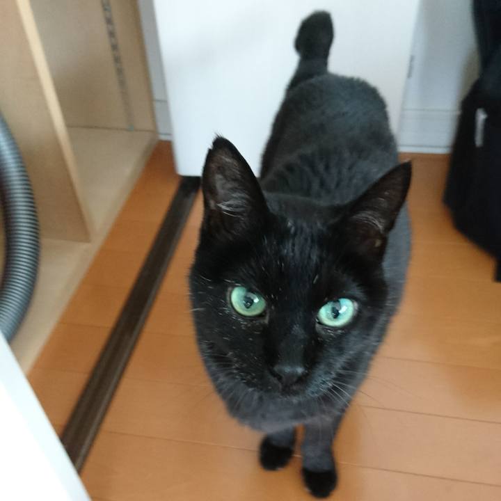 5675aa59 199b 4fac 94e6 7395f2bc5162 1551743305751