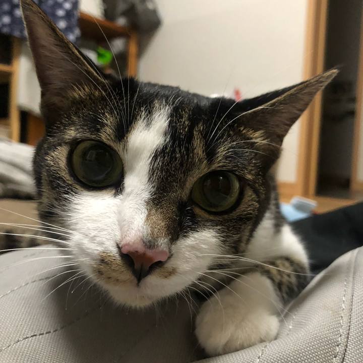 5675c59b a830 4f2b b319 c07bb48bde9a 1599253103108