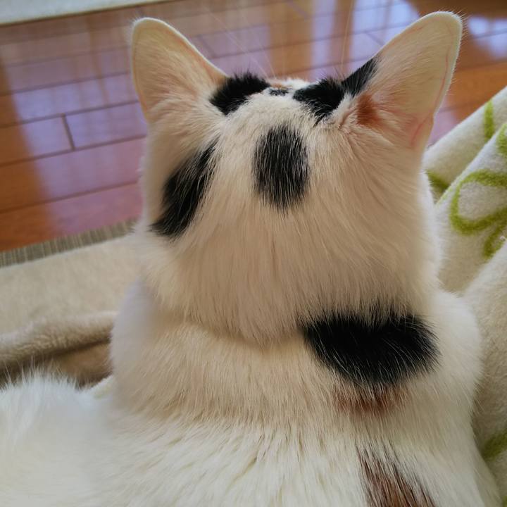 5675e144 d506 4ef9 9a5f e29e64faef27 1577403070654