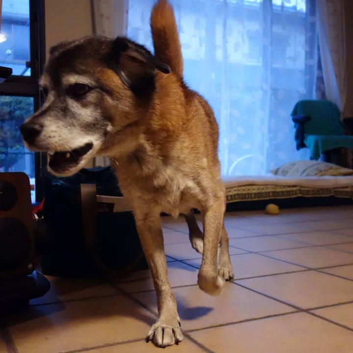 5675ebc2 cb4e 41ec bf18 79f878947ecf 1574727689345