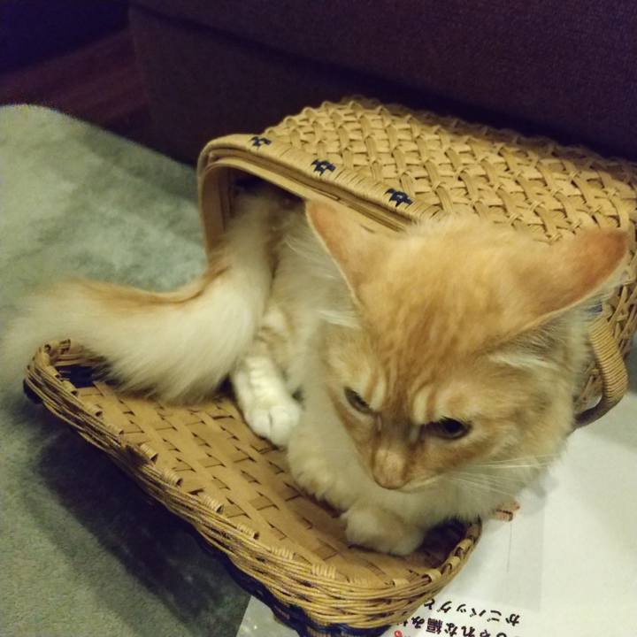 5675ffa9 11ff 4e24 a8fe e9819f0e102e 1620597444482