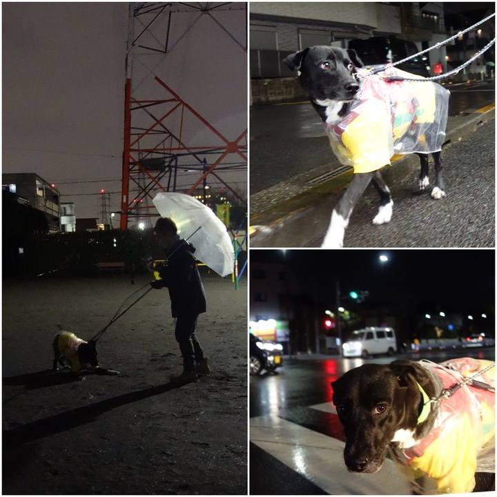 56761d39 fa18 4e48 8fe7 48b9e82964a5 1611484994549