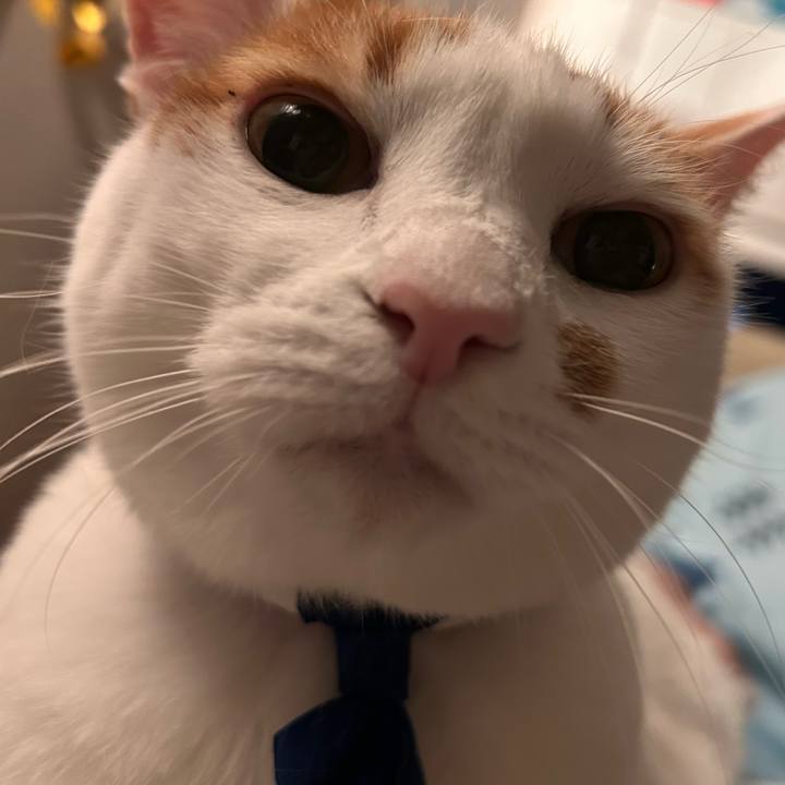 56761e75 7eac 4721 85df 9e5ef5675613 1760006820578