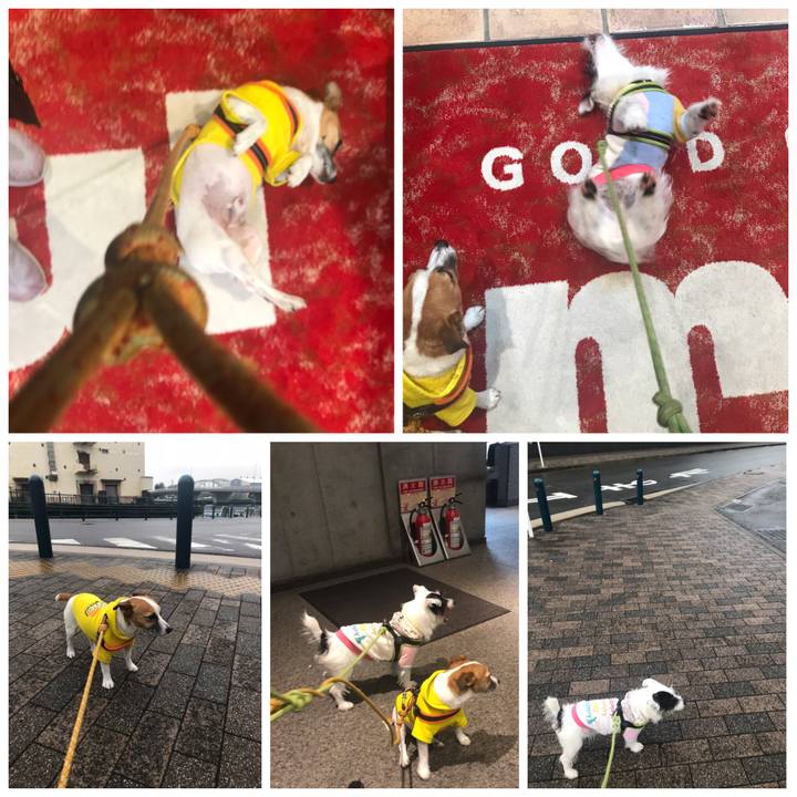 56762a8f 5802 45bb b8ba eeadd02b831e 1538207823003