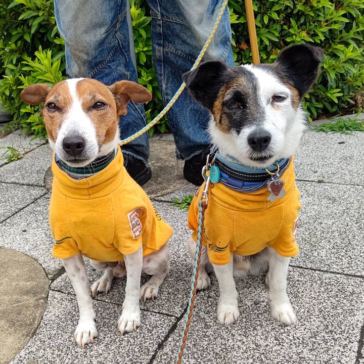 5676613b 4805 4e6b 8440 f9f1168471c7 1717370075705