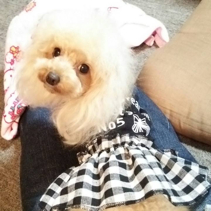 5676819c edb5 45b6 94f6 cf47b81089e6 1537791234224