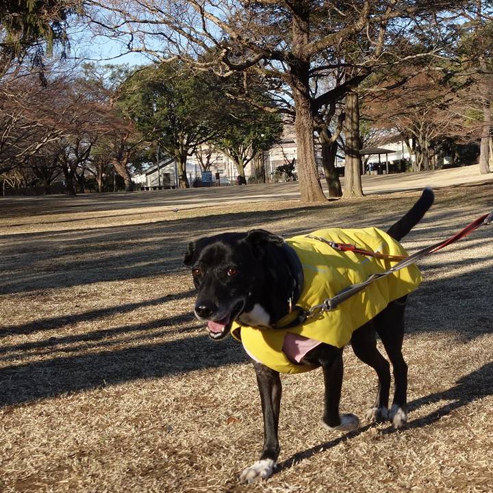 5676930c 5391 4188 81d1 2d5939238469 1739839453673