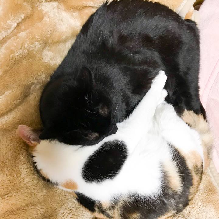 5676c44e edea 4245 b9ec 322e91e84a98 1521683512542