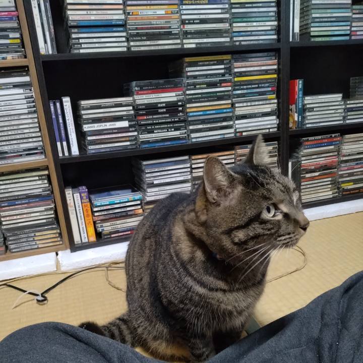 56771822 d6f4 4281 bdf5 c3db010e1d49 1672471155295