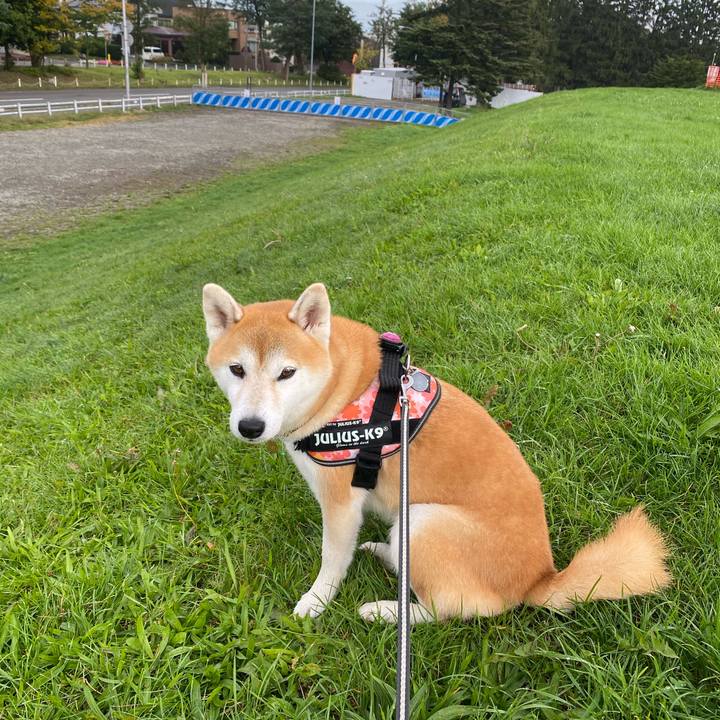 5677422d 5bc4 43df 8648 dcf851886ffe 1601599677644