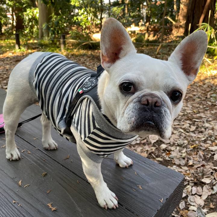 56774678 89ba 44d3 ae0a df45101fca9f 1734995225751