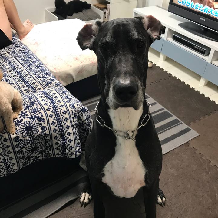 56775756 80c8 4d1f 987b 66faa2ed05ac 1522882210299