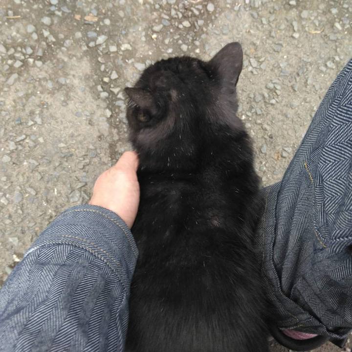 5677a9dd ba18 490d 90c0 d696ce1bdb49 1666700590068