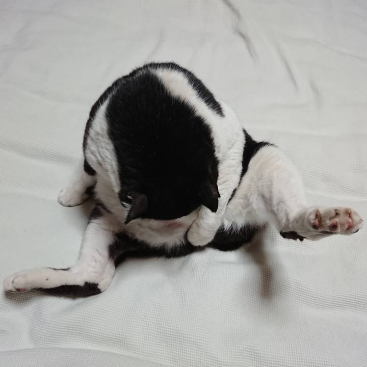 5677c185 5a1e 44cc 9300 43f3db2ecf5e 1588030005979