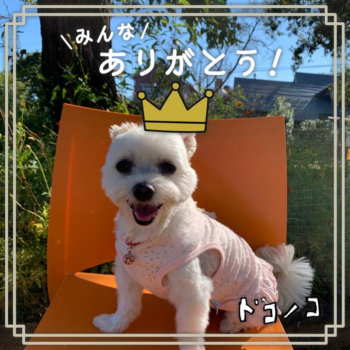 5677fea7 9e43 413a 8727 485be2c54a38 1622867737318